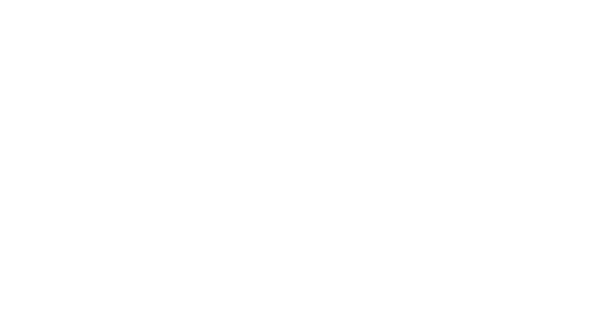 Luiz Salvador